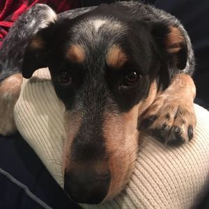 Meet your Posher, Caroline